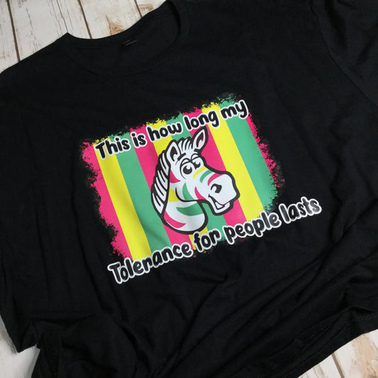 2XL Tolerance for People T-Shirt